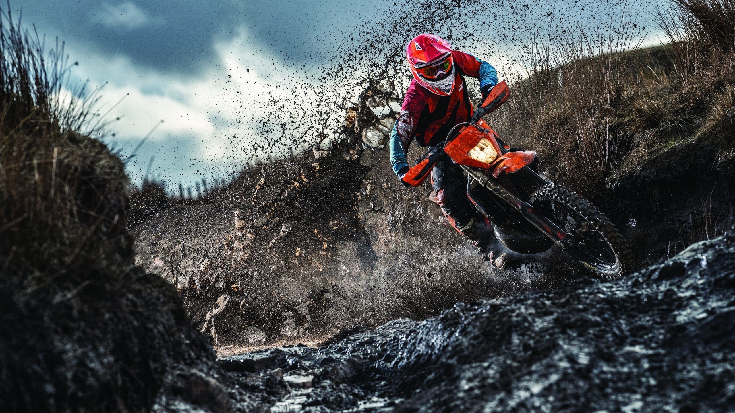 _明星运动员传授秘籍：训练、心态和赛场应变_，谈运动员明星化